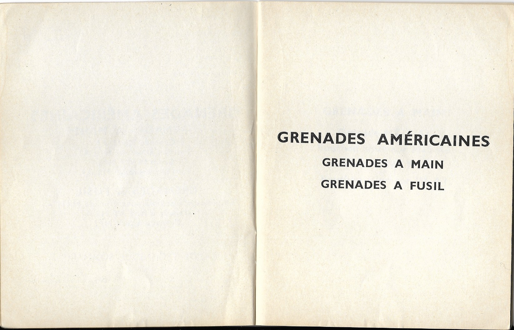 Grenades americaines 2